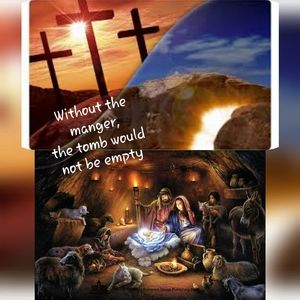 Meet your Posher, Windy